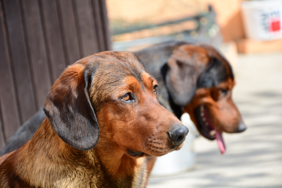 ...špekulanti...:-)!