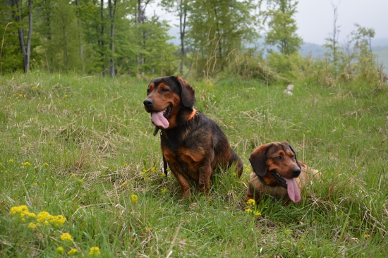 ...miláčikovia na výlete... :-) !