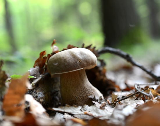 ...blonďáčik - fešáčik...:-)