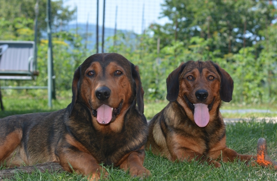 ...ja ich milujem... :-) !!!