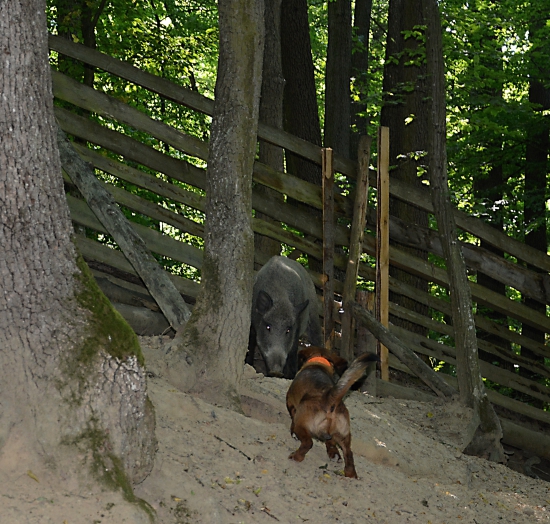 ...trénujeme a baví nás to... :-) !