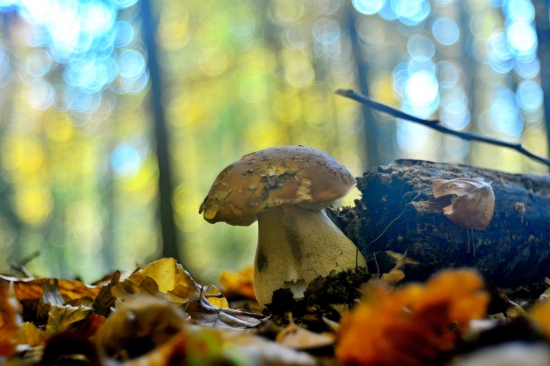 ...včera ulovený....:-) !