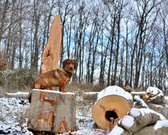 ...pán Drago a jeho 