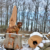 ...pán Drago a jeho 