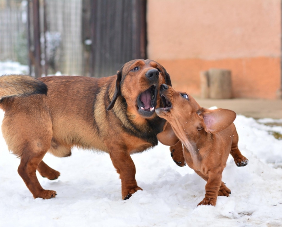 ....V dolináááááách....alebo duet Drago a Bono... :-) !