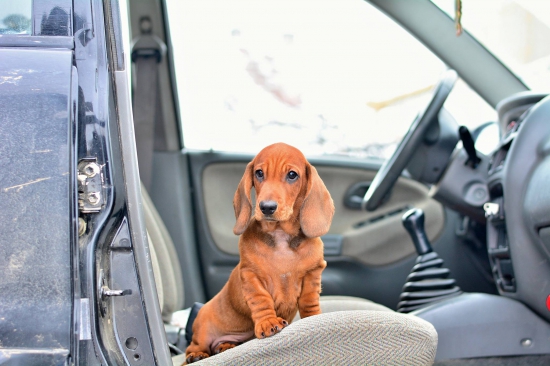 ...malý závozník... :-)