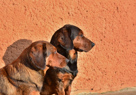 ...múdre hlavičky... :-) !