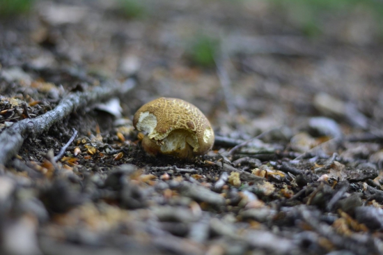 ...sezóna 2016 zahájená...jupííí!
