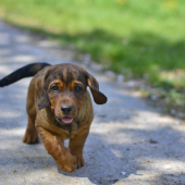 ...daxlíkom zdar!  :-)