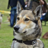 ..fešanda Cili... :-)