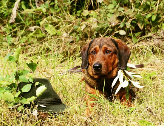 ...v sobotu sme to dali! :-)