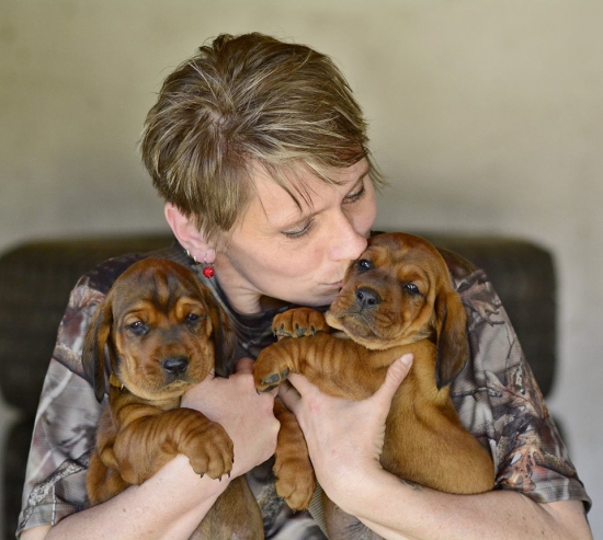 ...moje srdcové záležitosti...:-)