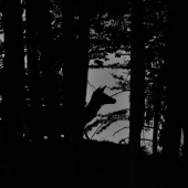 ...tmavým lesom kráča tieň...:-)