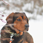 ...miláčik Kazan...:-) !