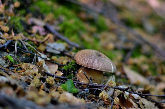 ...sezóna 2018 zahájenááá...:-)