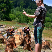 ...surikata alpská jazvečíkovitá...:-) !