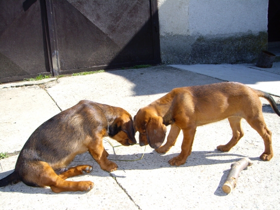 ...aj ja chcem kúsok....