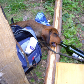 ...neviete niekto ako sa to otvára?!