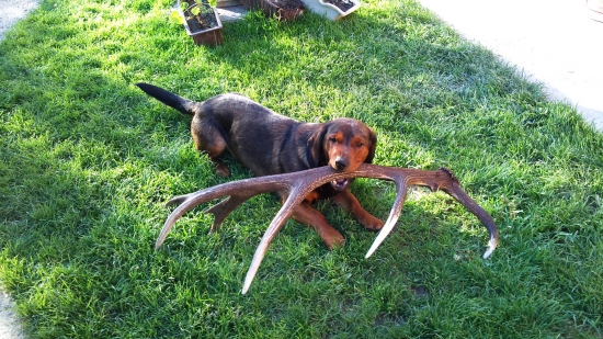 ...takto si ho chytím....