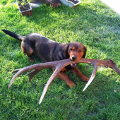 ...takto si ho chytím....