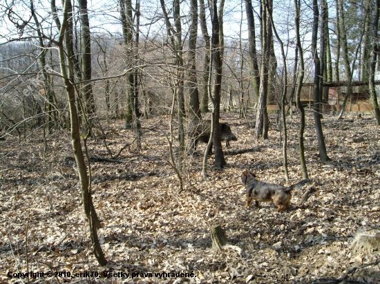 obora1 - ...tak toto ma baví najviac