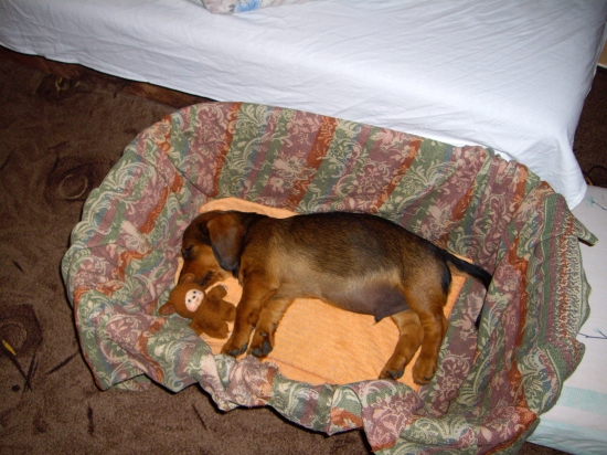 ...prvá noc v novom domove....