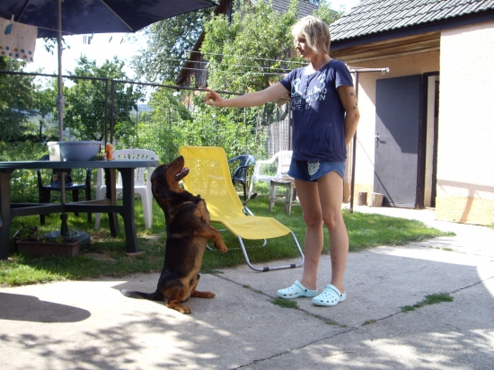 ...daxlík maskovaný za svištíka:-)))!