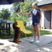 ...daxlík maskovaný za svištíka:-)))!