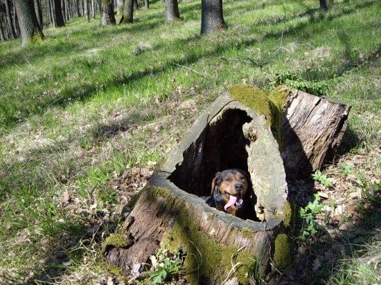 ...už nie som bezdomovec :-)