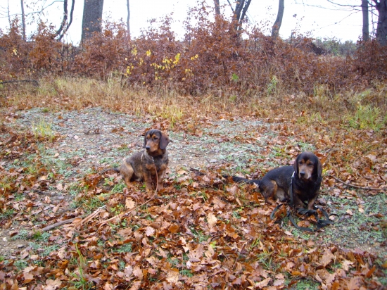 ...dohľadávači...