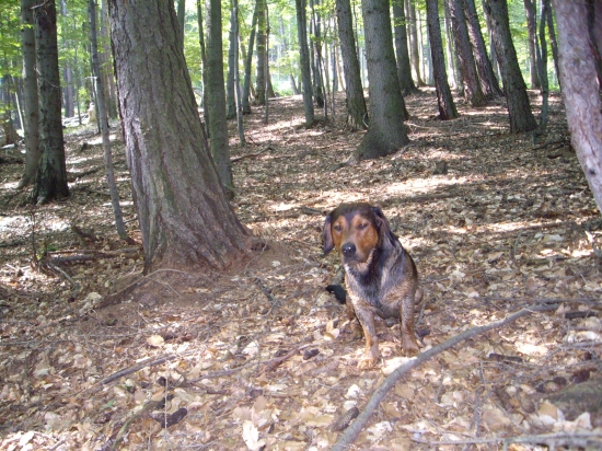 ...a vonku som otestoval každé kalište:-), to bola paráda....