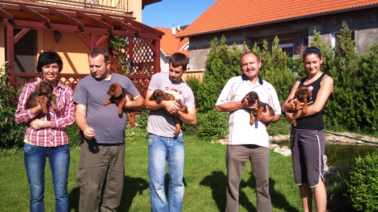 ...rodinka úžasných...alebo ako sme šteníka vyberali....