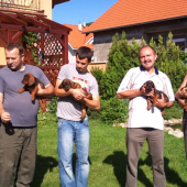 ...rodinka úžasných...alebo ako sme šteníka vyberali....
