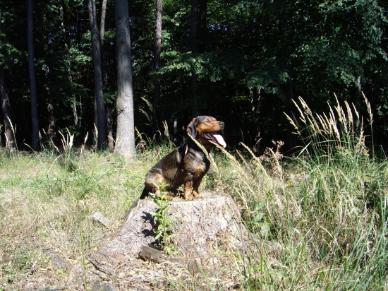 ...obráť svoju tvár k slnku.....:-)))