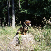 ...obráť svoju tvár k slnku.....:-)))