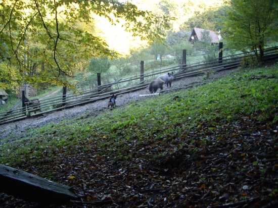 ...Kazanko v svojom živle....a ja tiež:-)))
