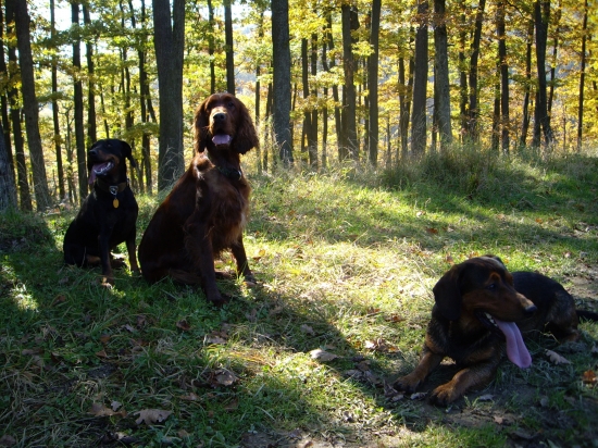 ...kto má najdlhší jazyk na svete?