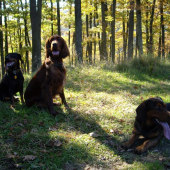 ...kto má najdlhší jazyk na svete?