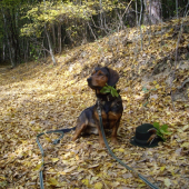 ...tvárim sa dosť hrdo? práve som úspešne dokončil FD!