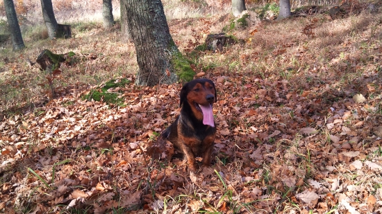 ...ružové kravaty teraz letia:-)))