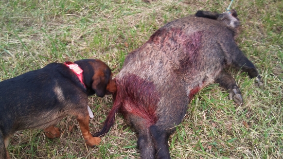 ...pardón, môžem si pričuchnúť?!:-)))))