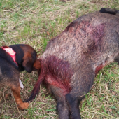 ...pardón, môžem si pričuchnúť?!:-)))))