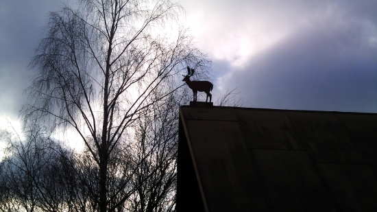 a toto ste už videli?! Daniel na streche:-)))