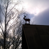 a toto ste už videli?! Daniel na streche:-)))