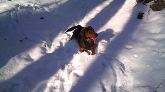 ...v snehu sa cítim ako 