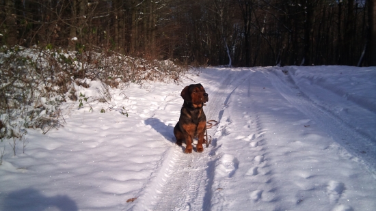 ...ja tam niečo cítim....