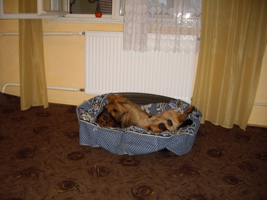 ...konečne ležím...