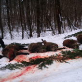 ...naša včerajšia spoločná...