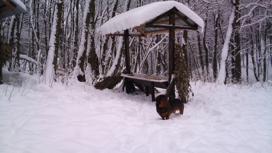 ... v nedeľu sme kŕmili....