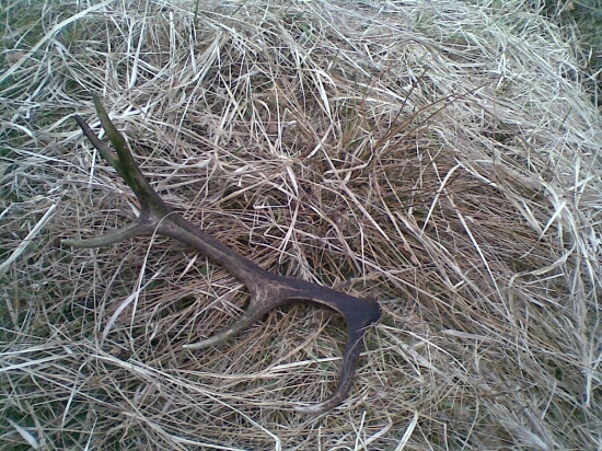 ...a ešte jeden, aj keď minuloročný